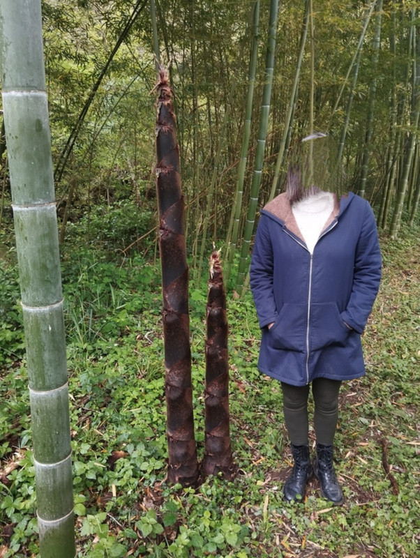 IMG 20250417 142102 2