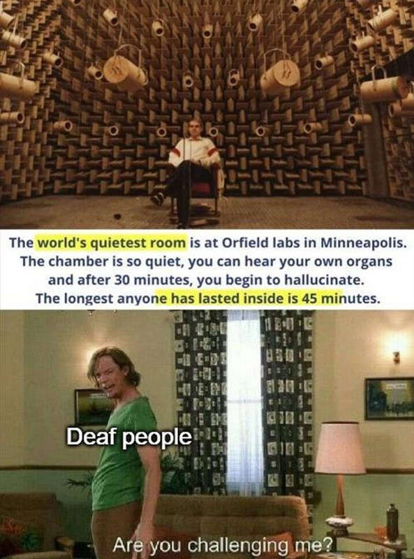 deaf_wants_to_take_soundproof_rm_challenge.jpg