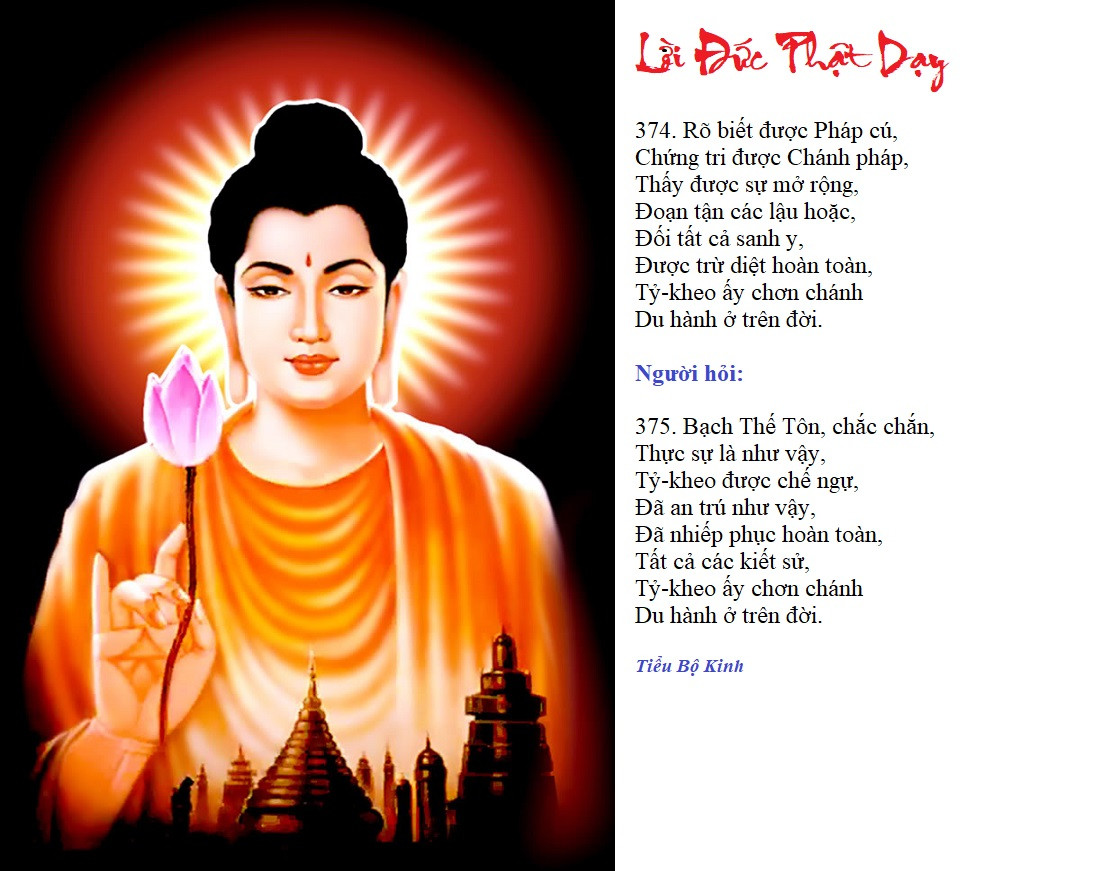 [Image: LDPD-01-01-2026.jpg]