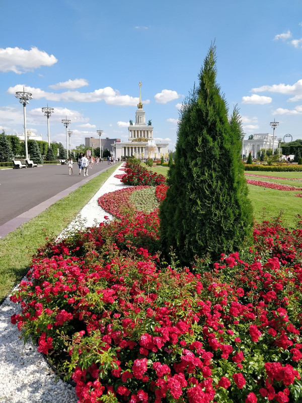 IMG_20230712_161901_351