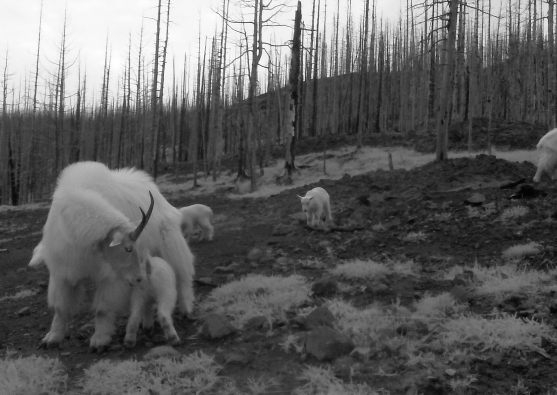 294BFFE4-2BED-4485-95C2-080E5BA8F4E4