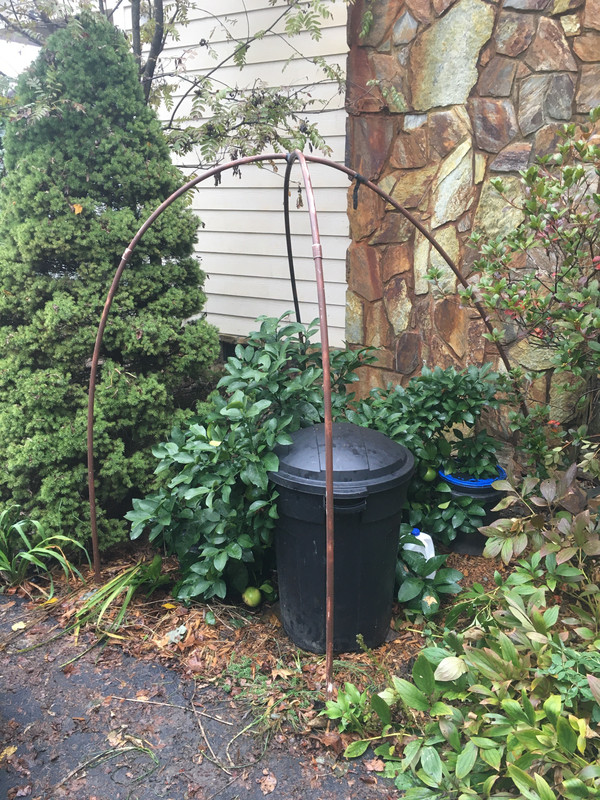 FCEE84FE-76B2-4172-954D-188D1CE8D6AE