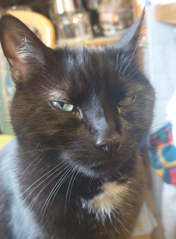 Screenshot 20251129 100424 Gallery