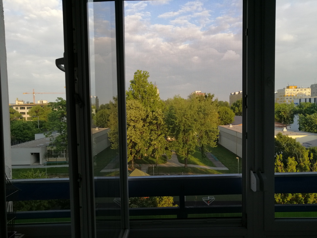 Kép