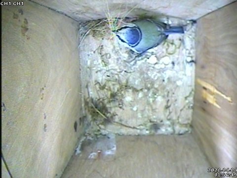 C1A05E64-7772-441A-9989-5683EAABDFDB