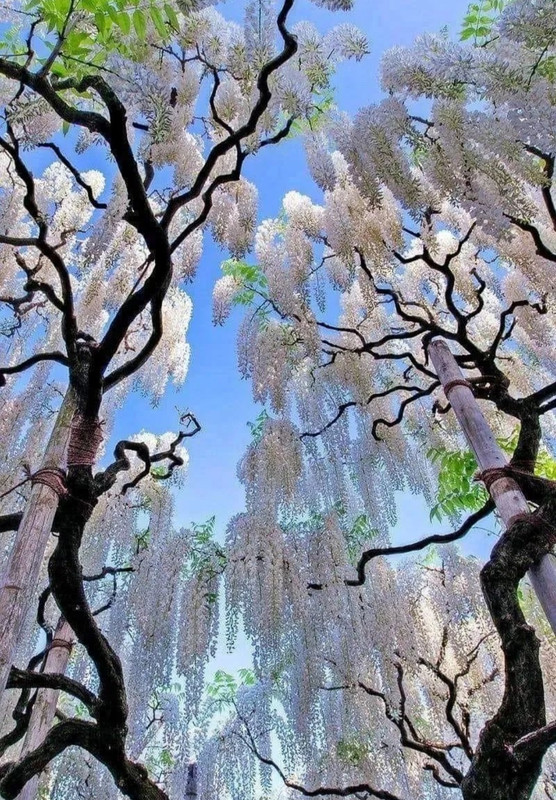 Screenshot_20240420_214738_Threads