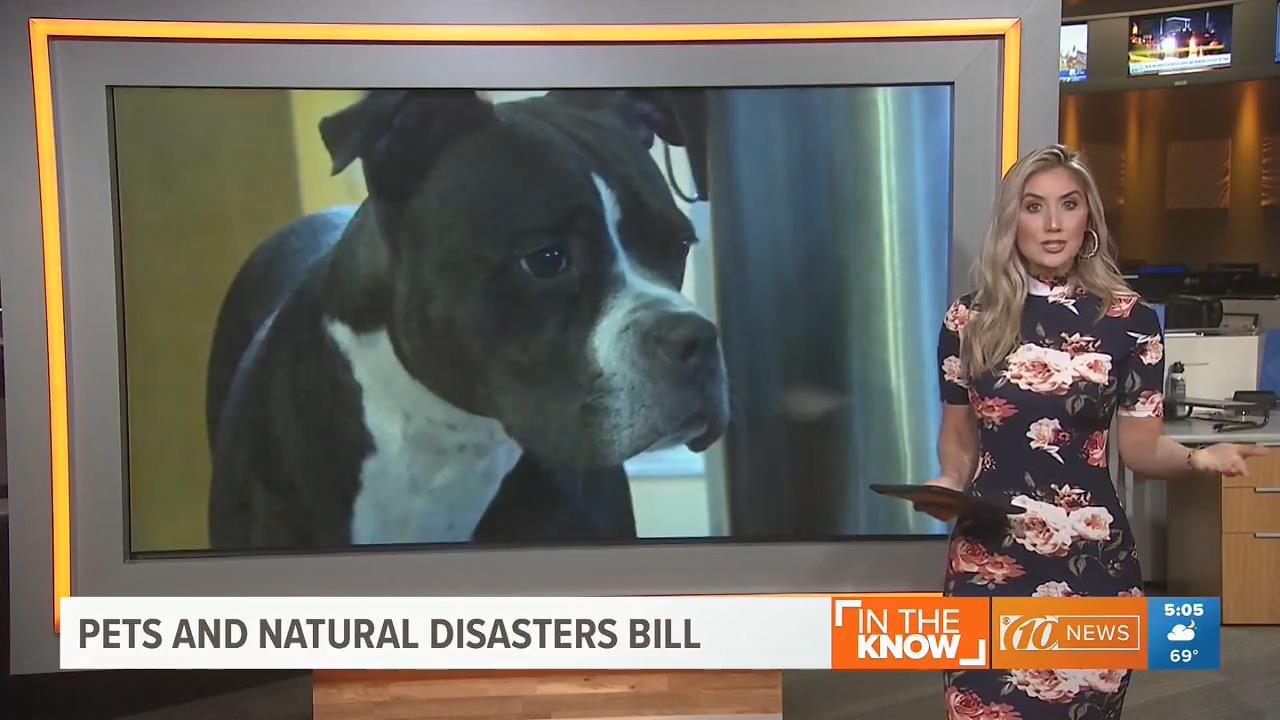 27 December - 09.30.00 - 10 News Brightside at 4 30am. Local new