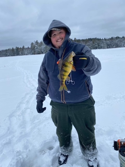 yellowperch