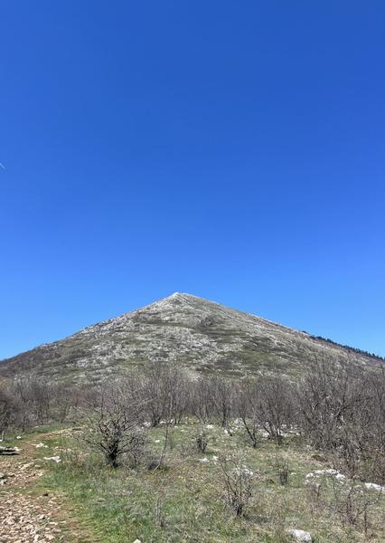 gfaejhgue-(1).jpg