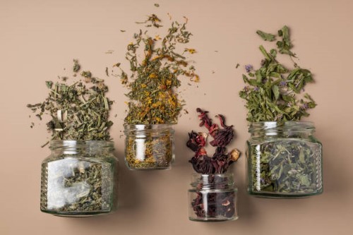 dandelion herb