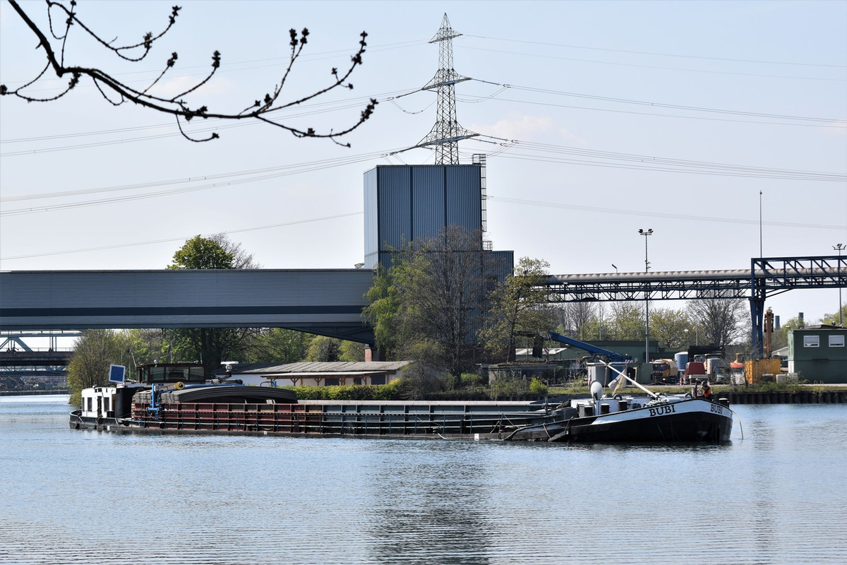 2021.04.28a2 Bubi (1)