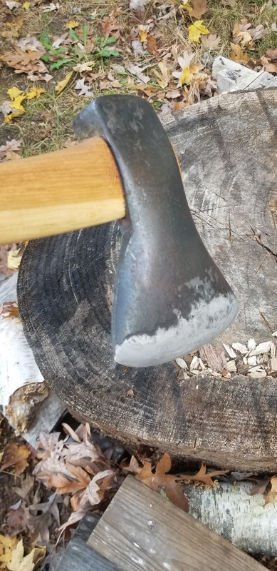 20181101-140356.jpg