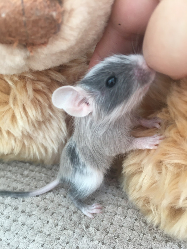 9D4CB712-CA28-4339-AA5F-44AFE72D9E65