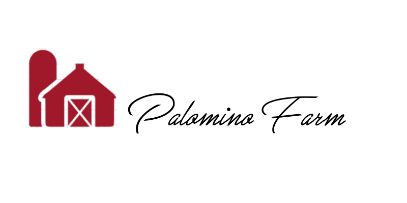 HEADER-PALOMINO.png