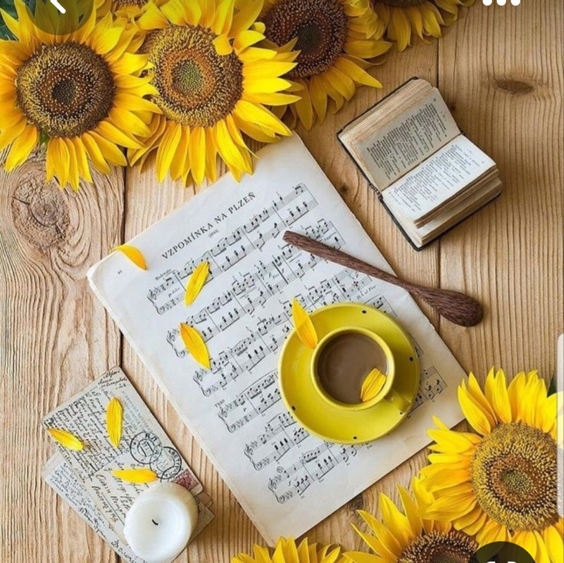 Screenshot_20230309_231135_Pinterest