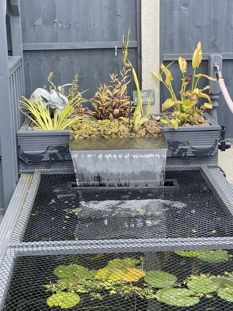 Bog filter help please - Pond Design and Construction Forum - Pond 