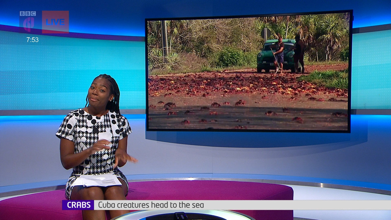 Newsround_20220325_07450755.ts_snapshot_09.41.883