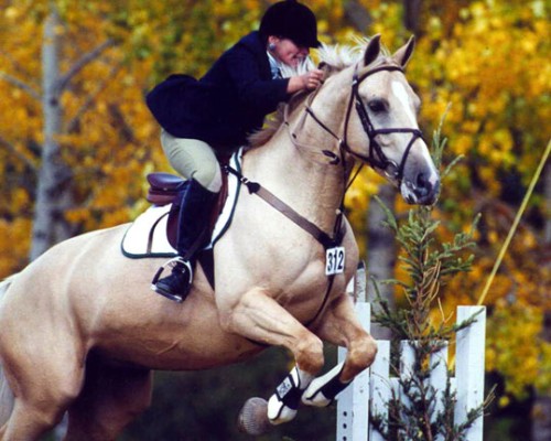 charismaticcorruption