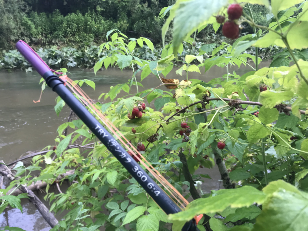 74A087FE-7B12-4E77-9076-3727D5F5AC7E