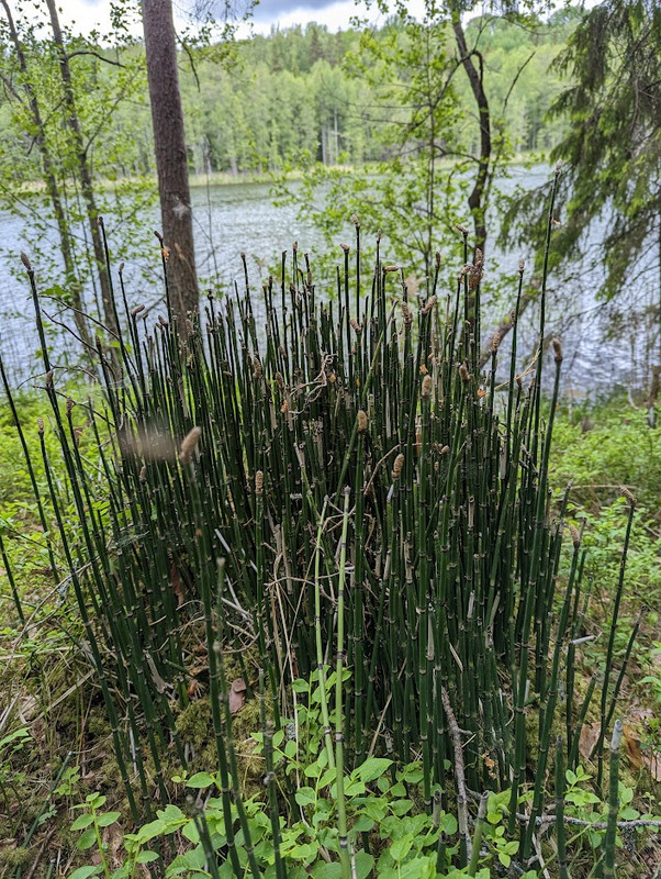 PXL_20230603_101920995