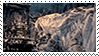 IMG_3649.gif