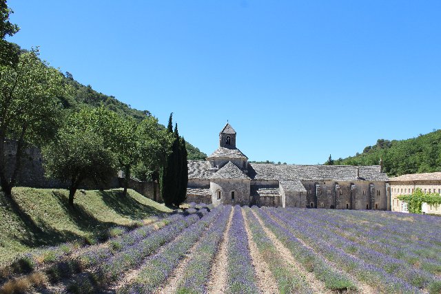 De vacaciones por la Provenza-Costa Azul - Blogs de Francia - Provenza (2ª parte) (1)