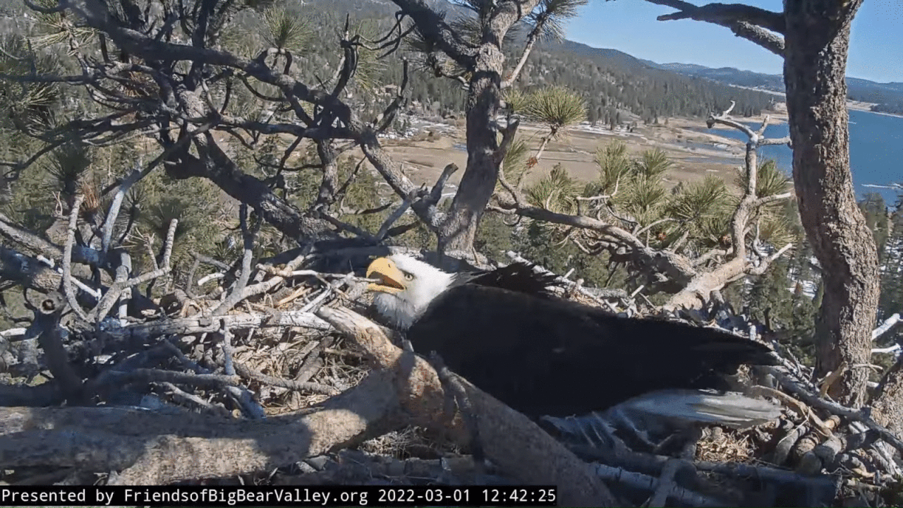 Webp.net-gifmaker (7)