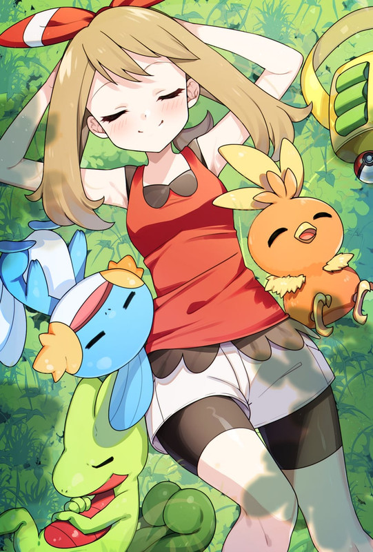 may-torchic-mudkip-and-treecko-pokemon-a