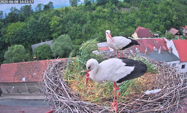 Przechwytywanie w trybie pełnoekranowym 08.06.2025 200247