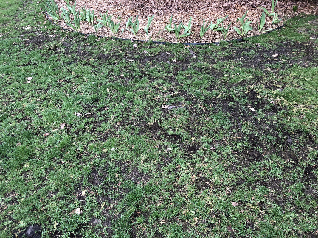 688AFBD8-7E46-4101-A9F5-9420CAF7A789