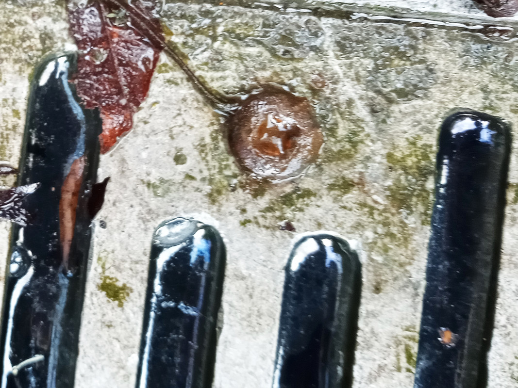 drain.jpg