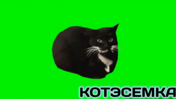 GIF-20250727-090119-495.gif