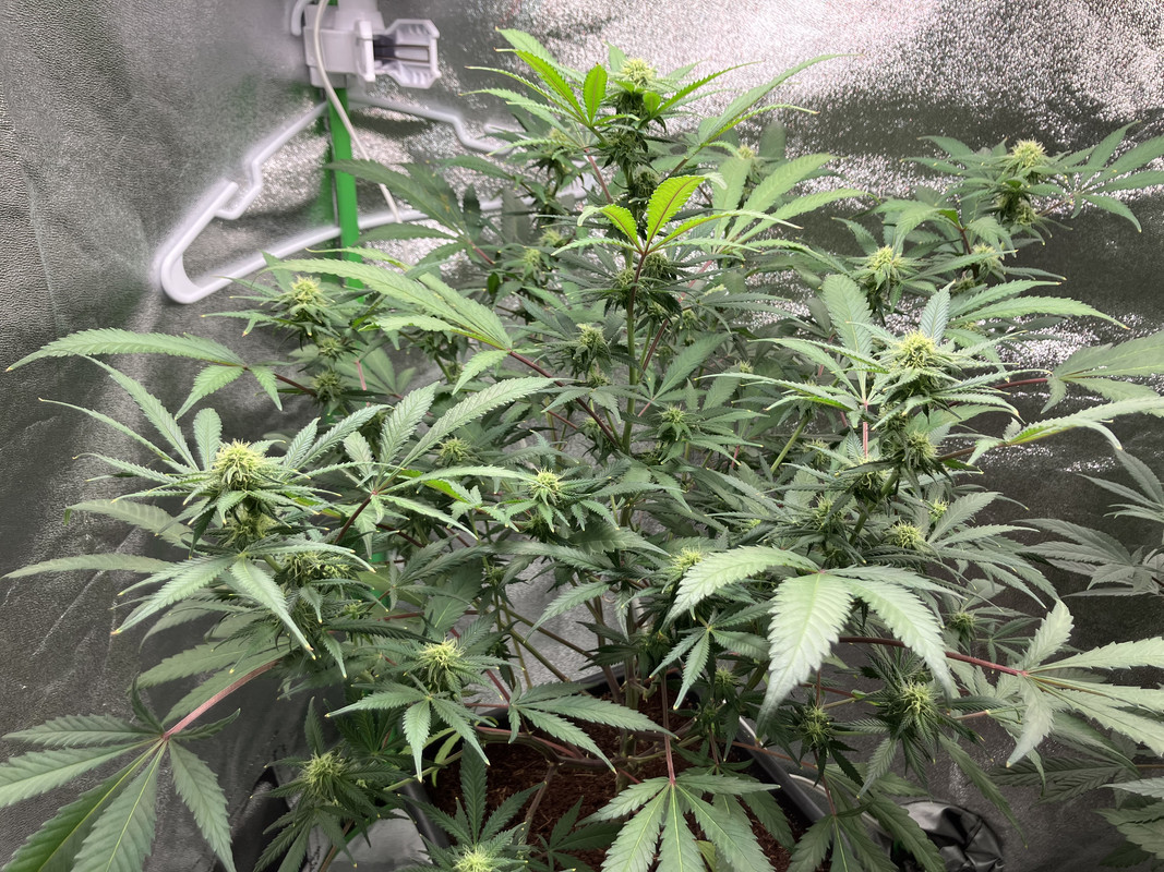 17DFC699-EBCB-4CBA-A9D7-A1D885048CCB