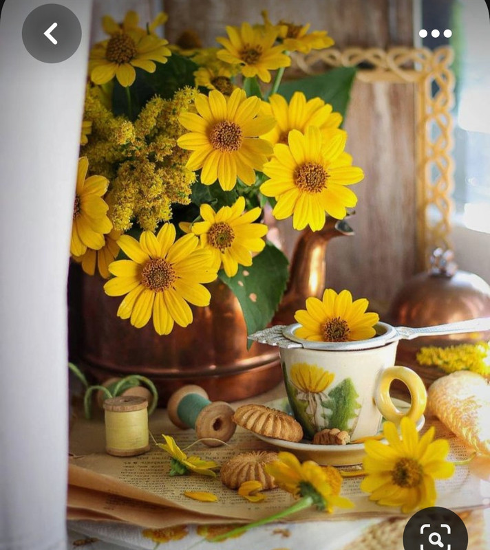 Screenshot_20230622_004529_Pinterest