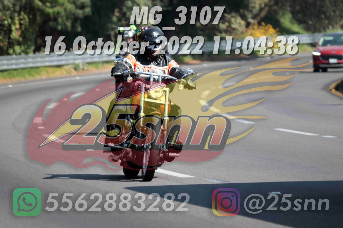 MG 3107 — Postimages