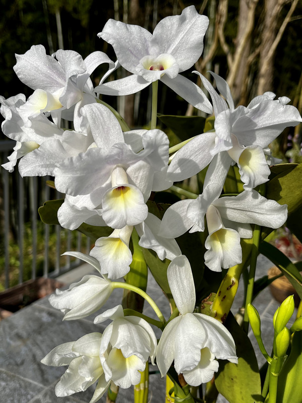 33ABBC36-25F7-4A96-9012-CFA4A3D7E2C0