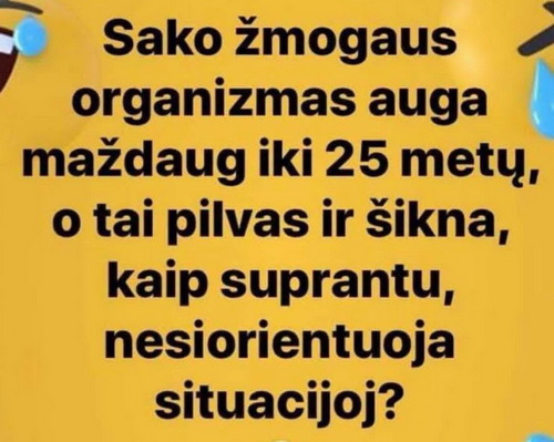 Paveikslėlis