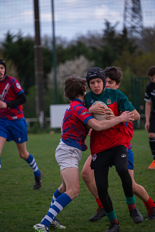 tournoi-de-latlantique-2026-adonis-griffon-273-55180352142-l