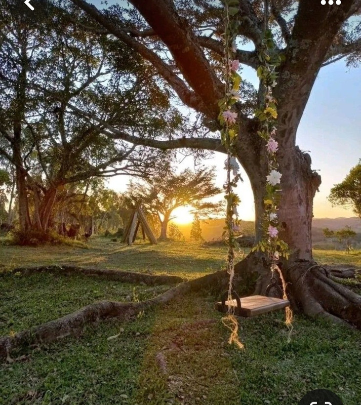 Screenshot_20240331_163743_Pinterest