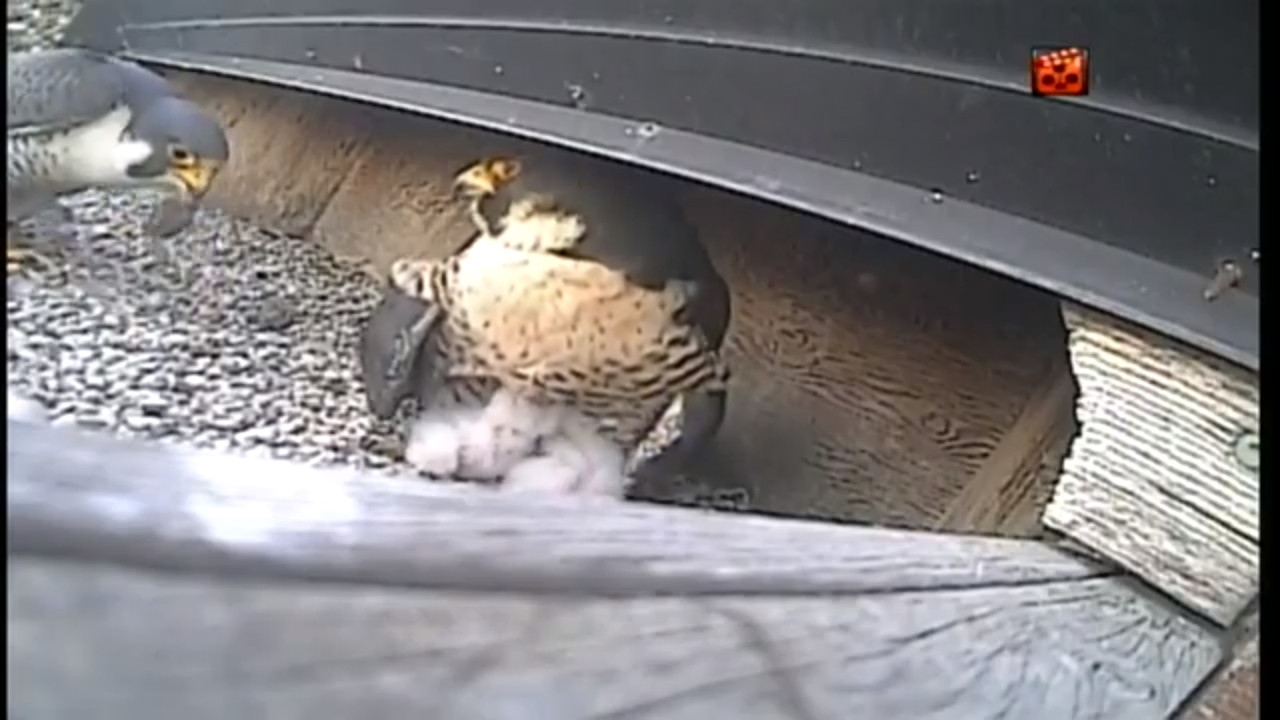 capture_31052020_130506