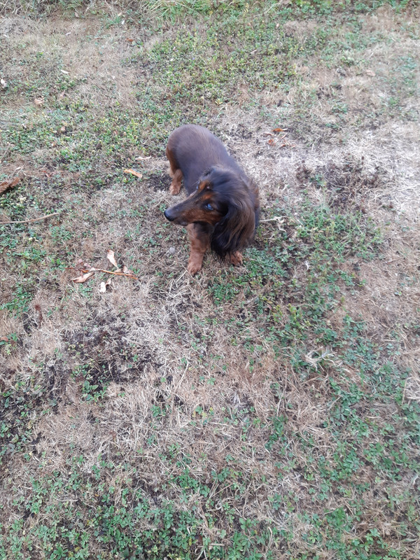 [Image: 20200819-080934.jpg]