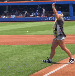 firstpitch1.gif