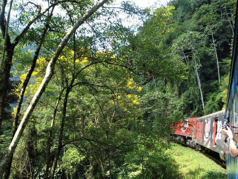 Tren Sierra Verde Exprés-22-2-2010 - Brasil y sus pueblos-2010 (3)