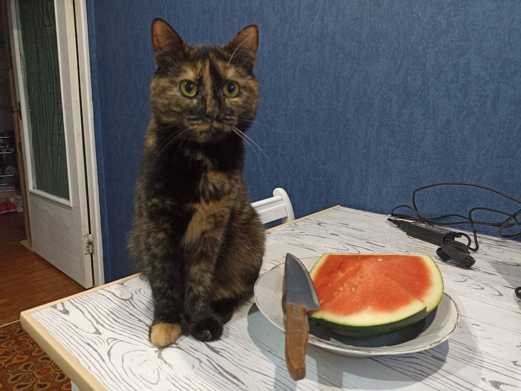 изображение_viber_2022-07-28_11-24-02-166