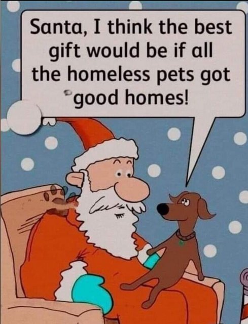 [Image: 263-B6135-B6-E8-45-E5-B3-C6-7-BD9-D852-AB47.jpg]