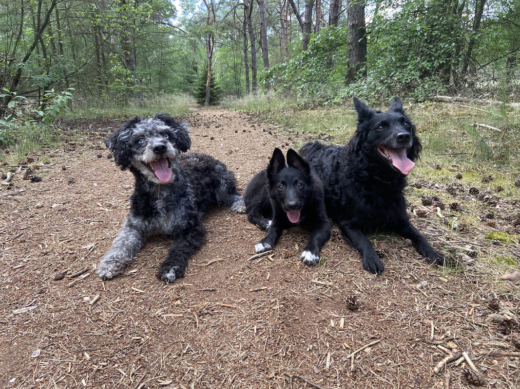 0BC28C50-CAB0-429A-B2BB-BA2761387050