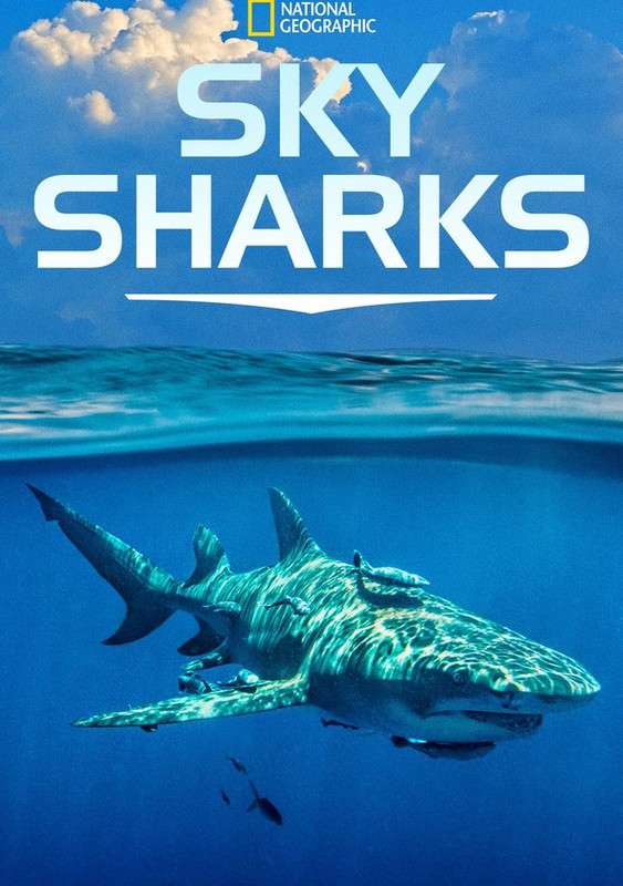 Žraloci z ptačí perspektivy / Sky Sharks / CZ