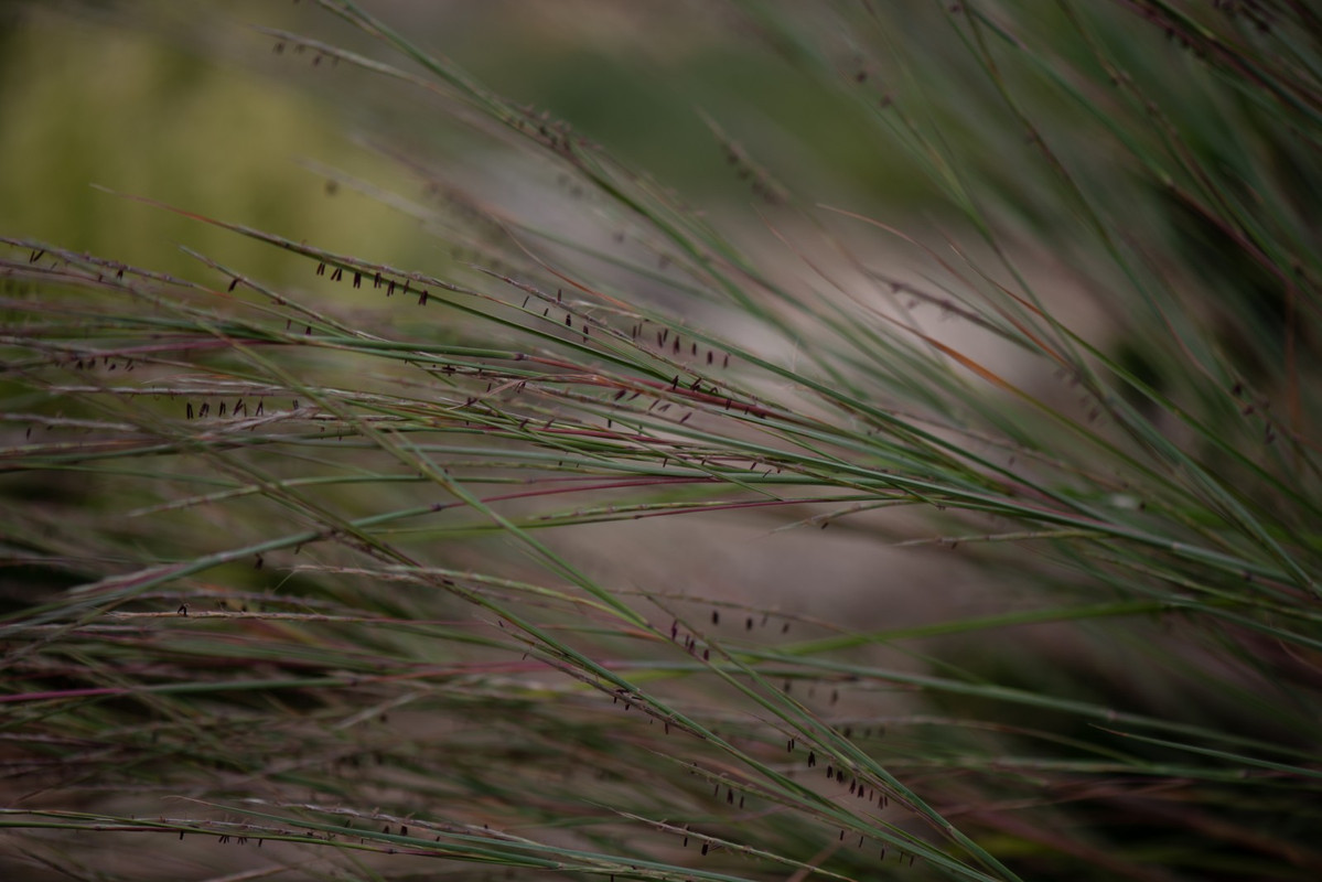 IMG-1476e07e940173eda6046ee4b12a7b57-V