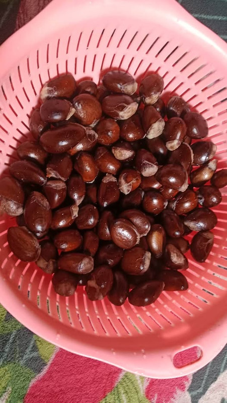 594606623 2150756882123611 5799114953077464128 n