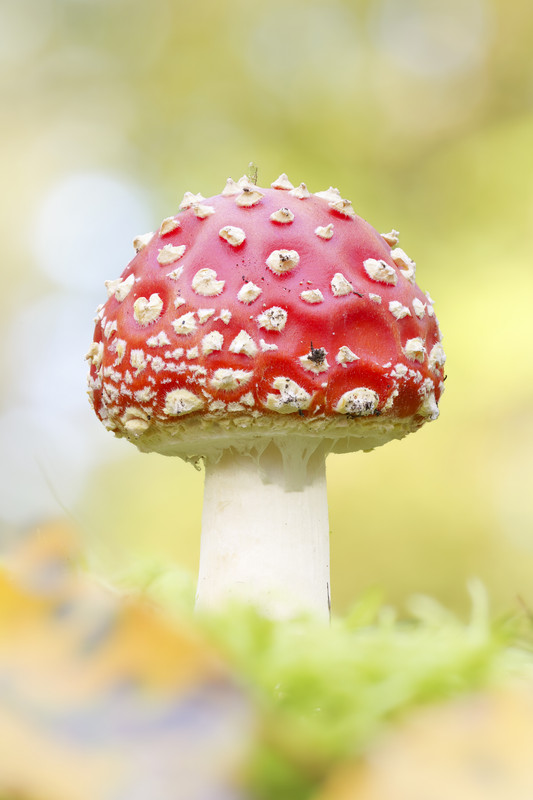 2024-10-26 17-24-51 (A,R8,S4)-2